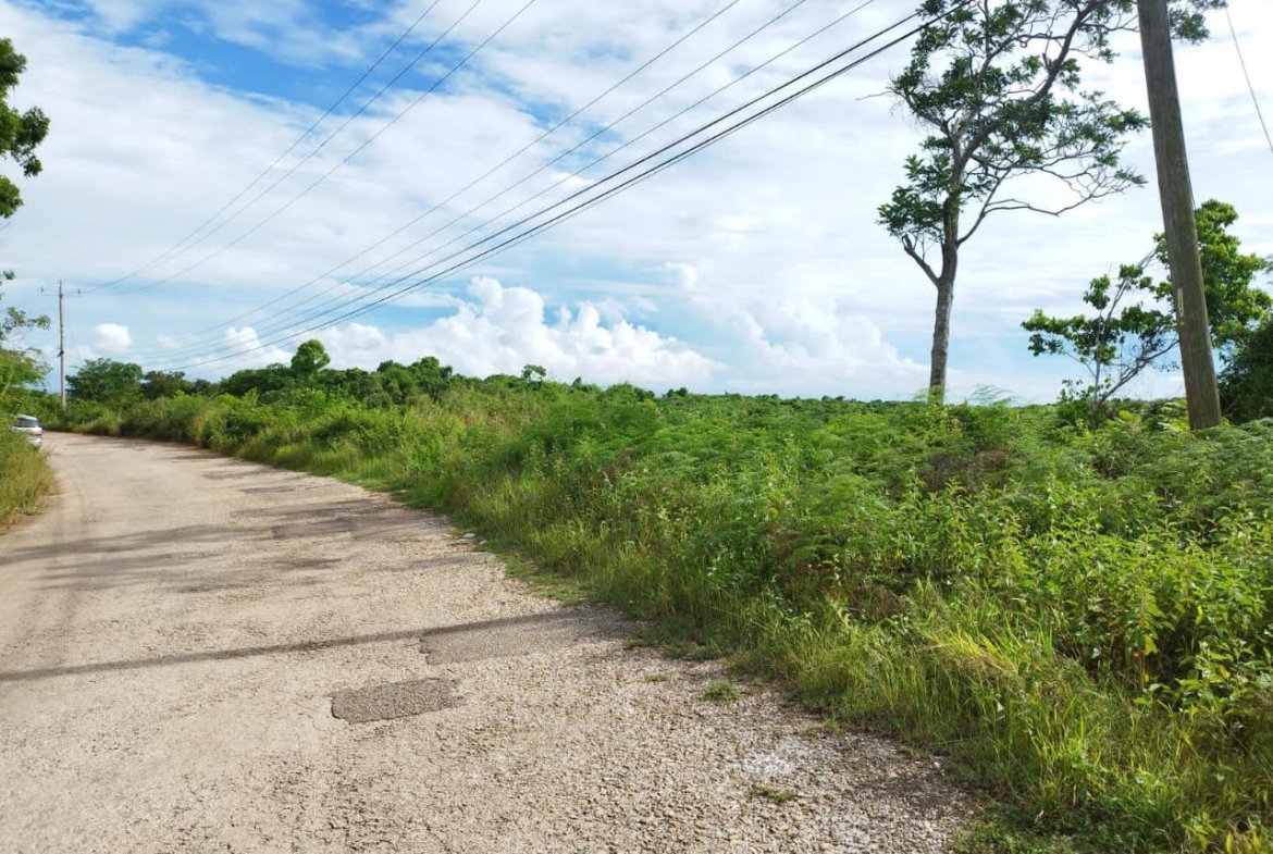 Seventh image of 1b- Hermitage, Lancaster in Hermitage, Manchester, Jamaica - property is For Sale