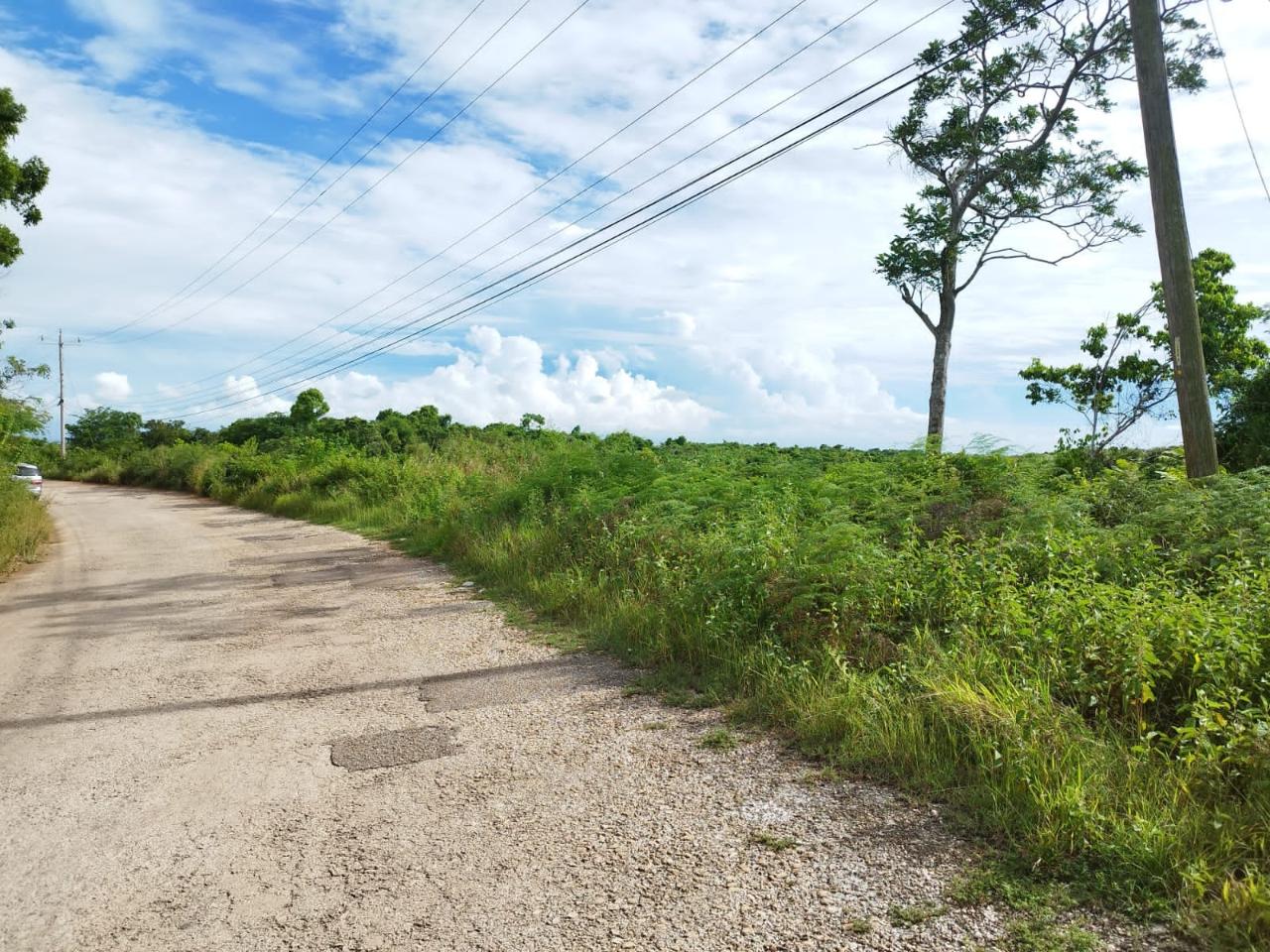 Seventh image of 1b- Hermitage, Lancaster in Hermitage, Manchester, Jamaica - property is For Sale