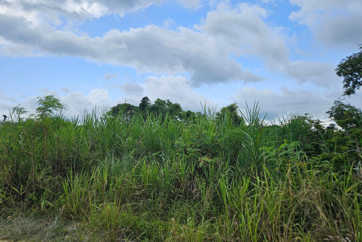 Second image of Llandillo in SAVANNA LA MAR, Westmoreland, Jamaica - property is For Sale