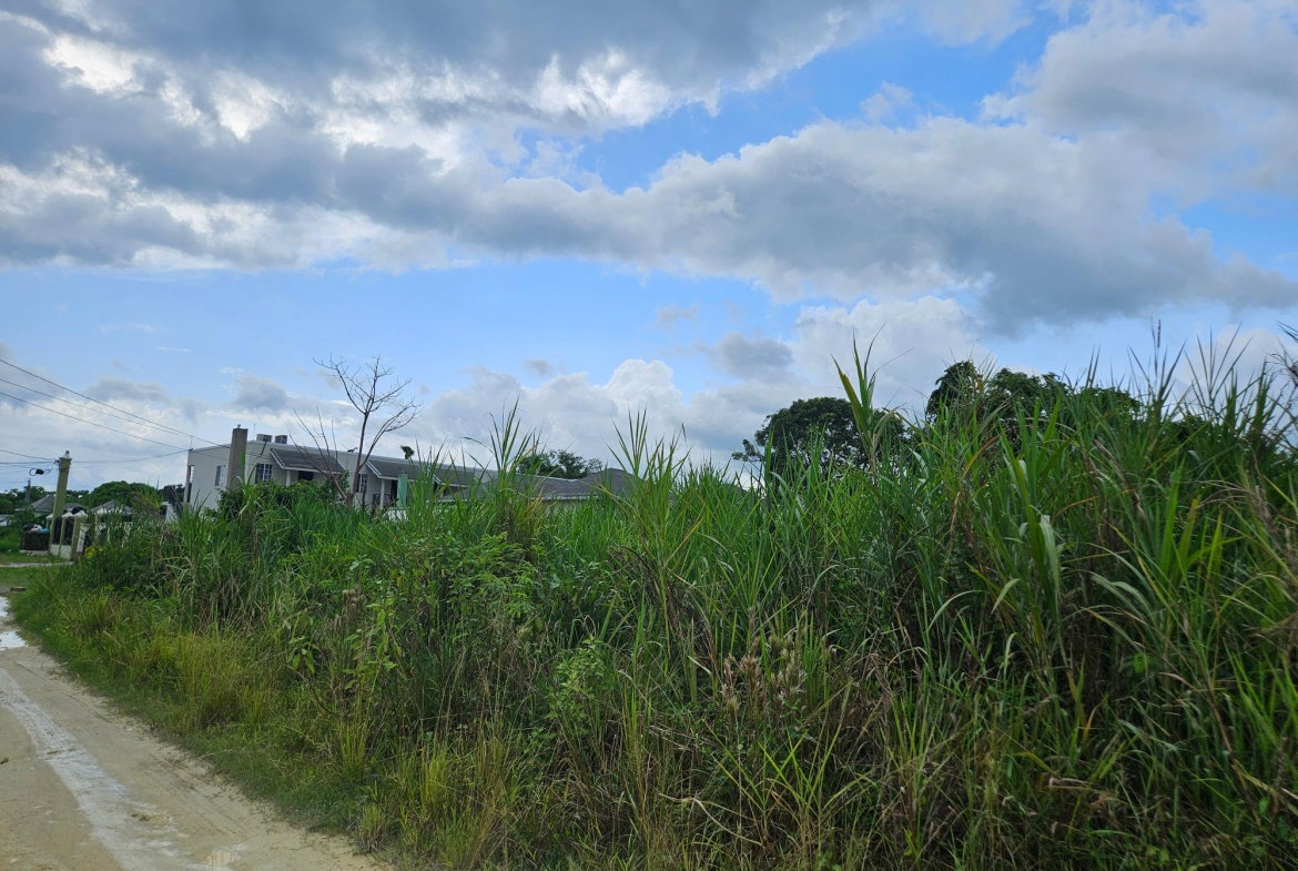 Third image of Llandillo in SAVANNA LA MAR, Westmoreland, Jamaica - property is For Sale