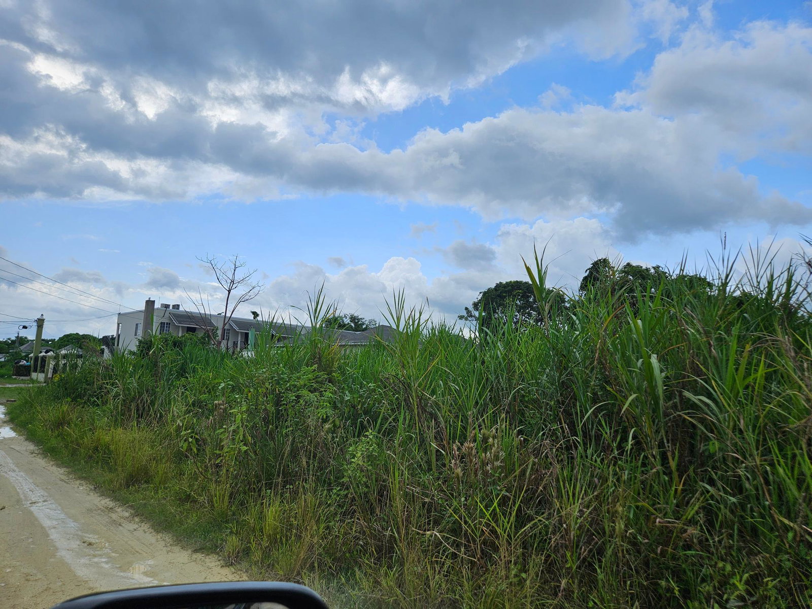 Prime-Residential-Lot-for-Sale-in-Llandilo-Westmoreland-Jamaica Third image of Llandillo in SAVANNA LA MAR, Westmoreland, Jamaica - property is For Sale
