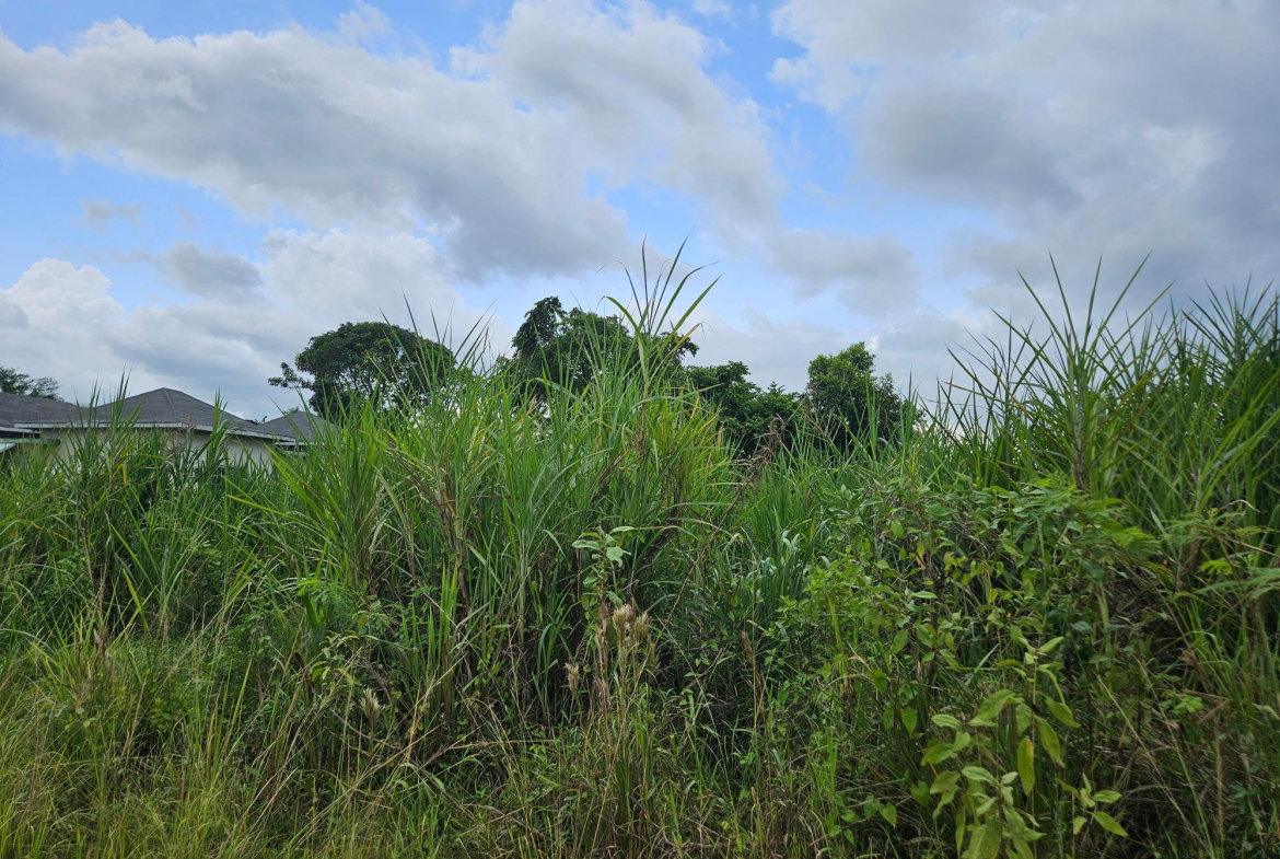 Fourth image of Llandillo in SAVANNA LA MAR, Westmoreland, Jamaica - property is For Sale