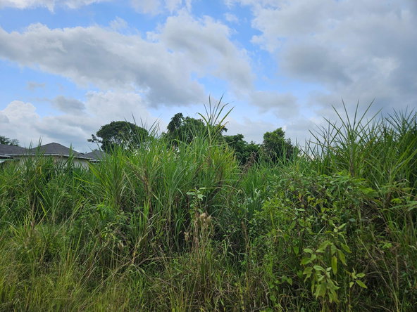 Fourth image of Llandillo in SAVANNA LA MAR, Westmoreland, Jamaica - property is For Sale
