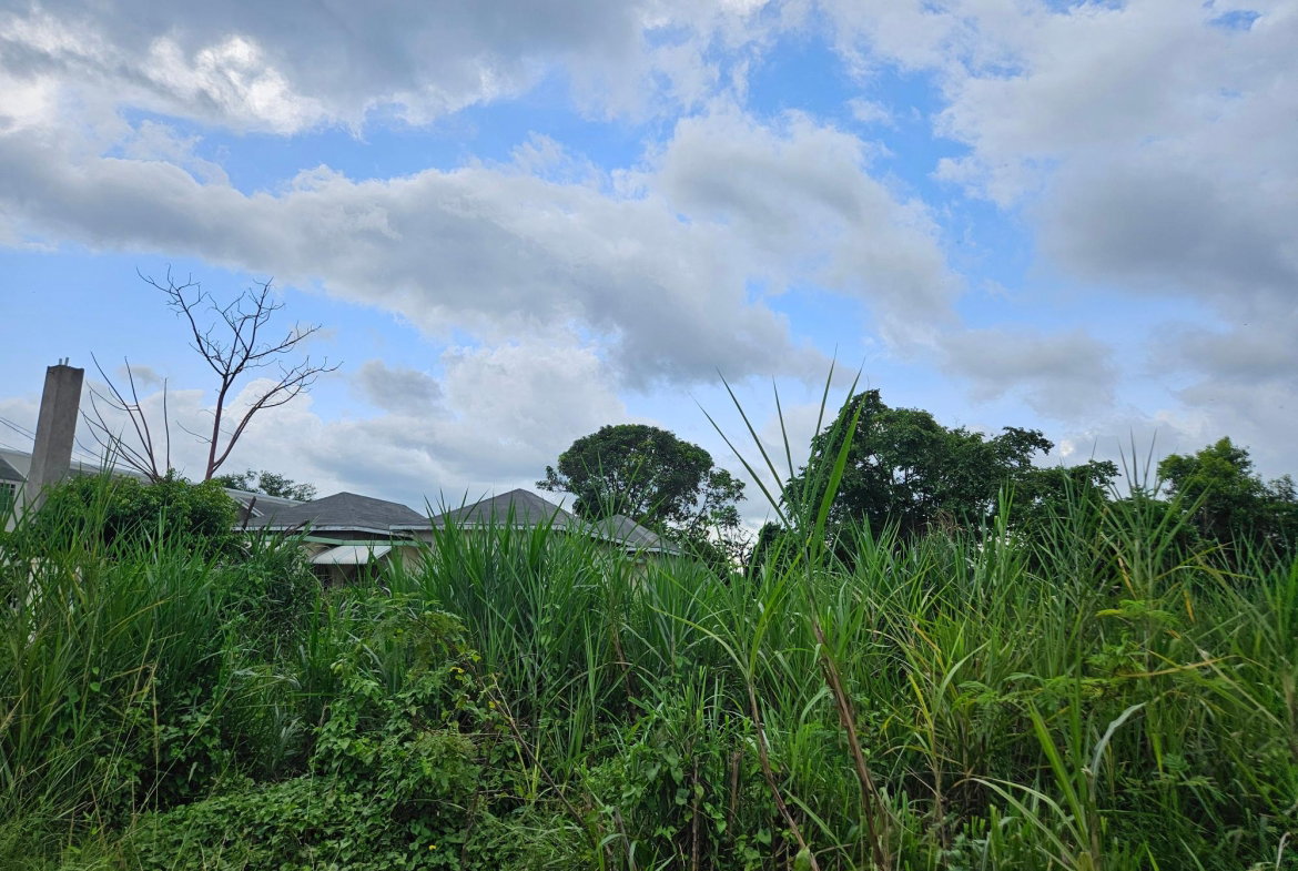 Fifth image of Llandillo in SAVANNA LA MAR, Westmoreland, Jamaica - property is For Sale