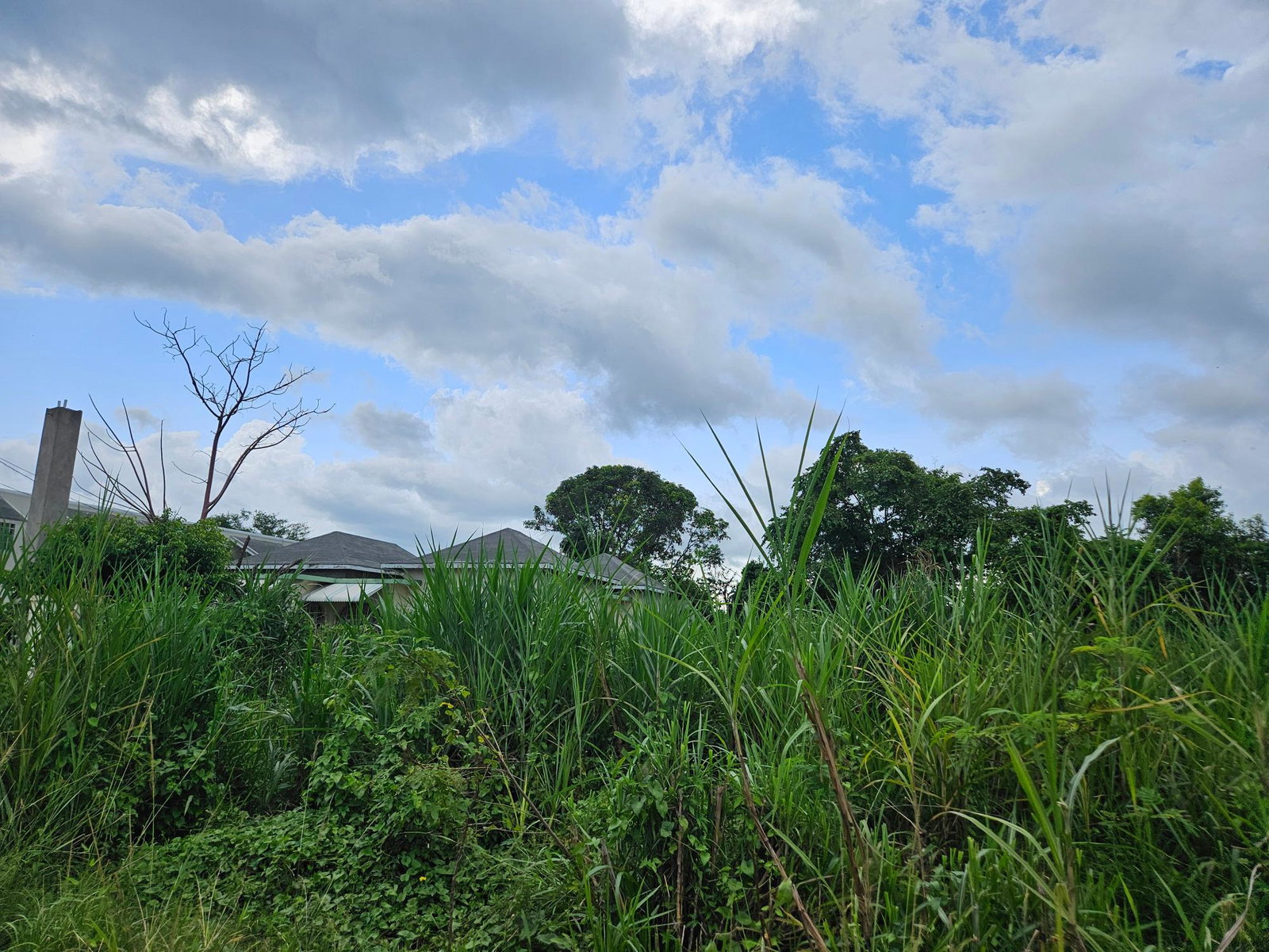 Prime-Residential-Lot-for-Sale-in-Llandilo-Westmoreland-Jamaica Fifth image of Llandillo in SAVANNA LA MAR, Westmoreland, Jamaica - property is For Sale