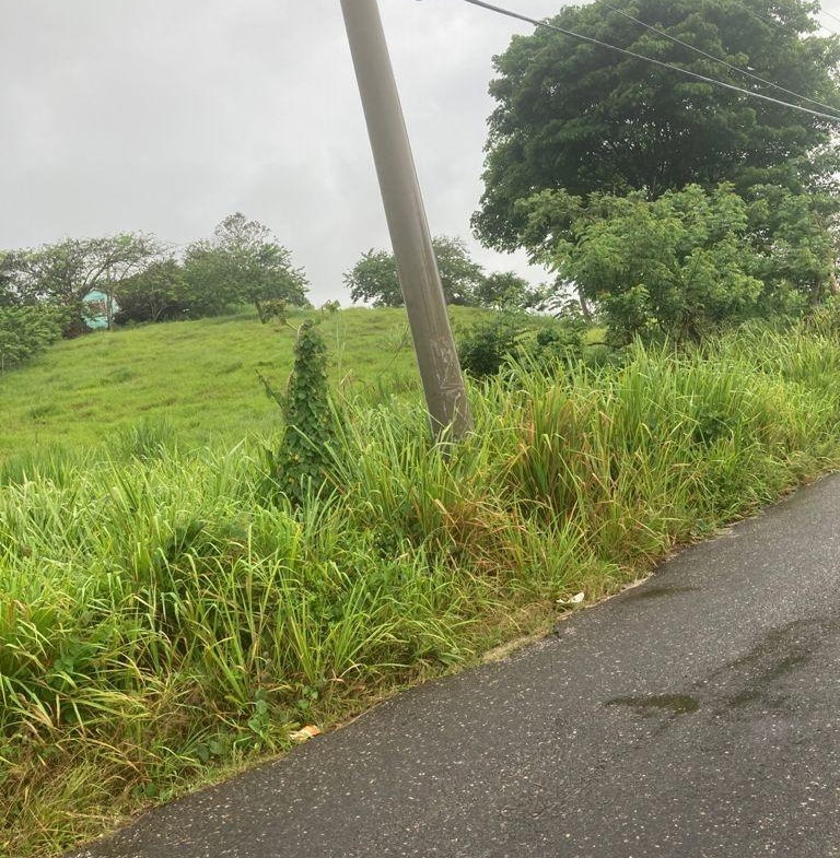 Second image of 25 West Rd, Mandeville in Brumalia, Manchester, Jamaica - property is For Sale