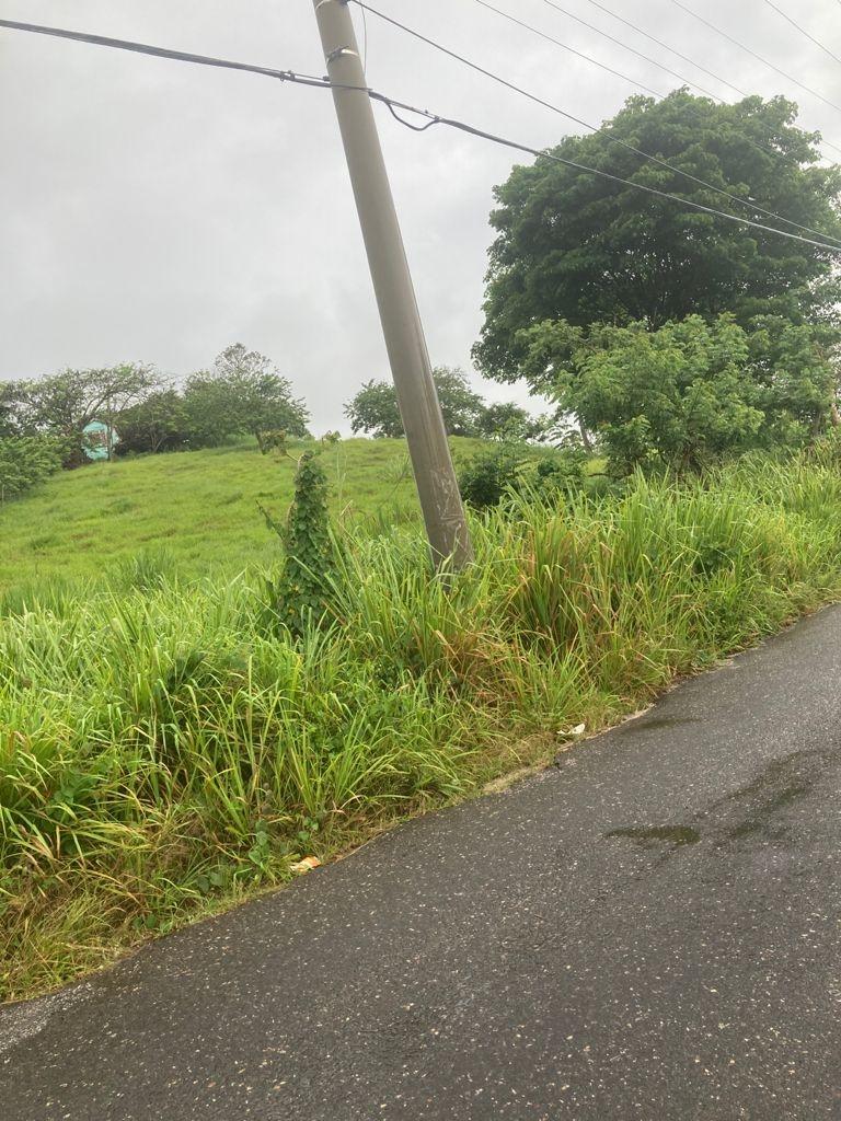 Prime-Residential-Lot-for-Sale-in-Mandeville-Jamaica-25-West-Rd Second image of 25 West Rd, Mandeville in Brumalia, Manchester, Jamaica - property is For Sale
