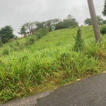 First image of 25 West Rd, Mandeville in Brumalia, Manchester, Jamaica - property is For Sale