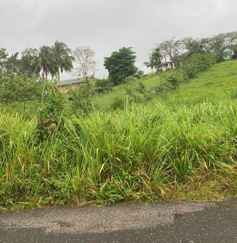 Third image of 25 West Rd, Mandeville in Brumalia, Manchester, Jamaica - property is For Sale
