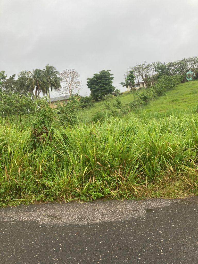Prime-Residential-Lot-for-Sale-in-Mandeville-Jamaica-25-West-Rd Third image of 25 West Rd, Mandeville in Brumalia, Manchester, Jamaica - property is For Sale