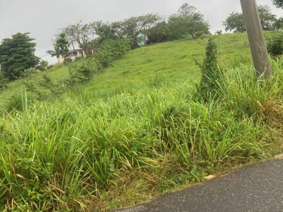 First image of 25 West Rd, Mandeville in Brumalia, Manchester, Jamaica - property is For Sale