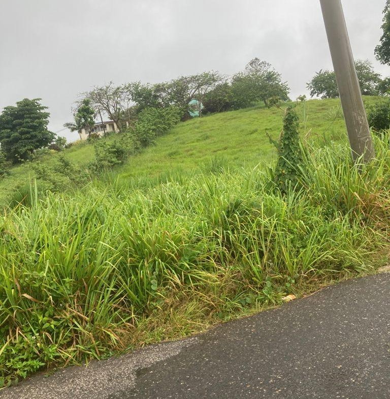 First image of 25 West Rd, Mandeville in Brumalia, Manchester, Jamaica - property is For Sale