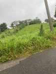First image of 25 West Rd, Mandeville in Brumalia, Manchester, Jamaica - property is For Sale