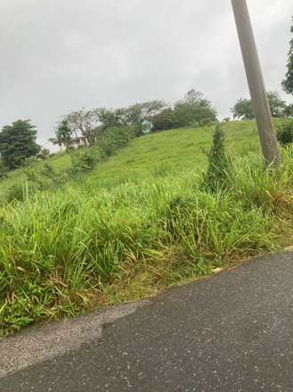 First image of 25 West Rd, Mandeville in Brumalia, Manchester, Jamaica - property is For Sale