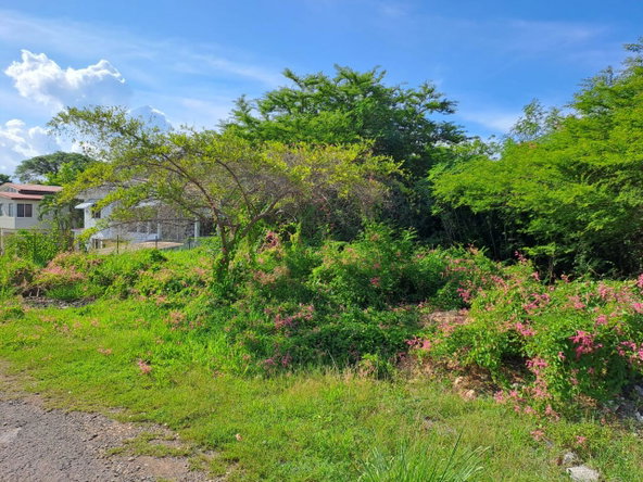 Second image of 171 Marlie Mount in Old Harbour, St. Catherine, Jamaica - property is For Sale