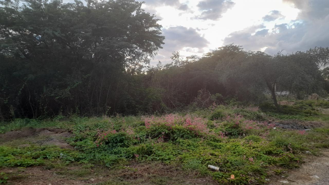 Third image of 171 Marlie Mount in Old Harbour, St. Catherine, Jamaica - property is For Sale