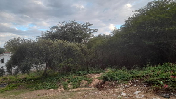 Fourth image of 171 Marlie Mount in Old Harbour, St. Catherine, Jamaica - property is For Sale