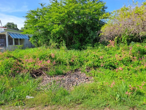 First image of 171 Marlie Mount in Old Harbour, St. Catherine, Jamaica - property is For Sale