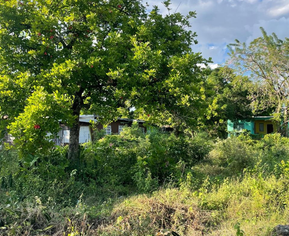 First image of 33 Bryant’s Crescent in May Pen, Clarendon, Jamaica - property is For Sale
