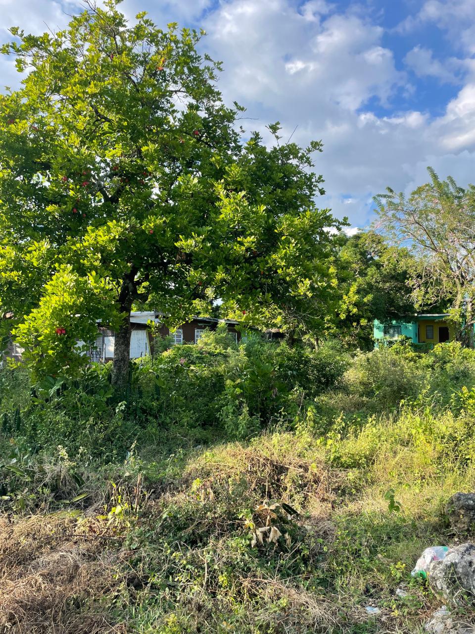 First image of 33 Bryant’s Crescent in May Pen, Clarendon, Jamaica - property is For Sale