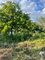 First image of 33 Bryant’s Crescent in May Pen, Clarendon, Jamaica - property is For Sale