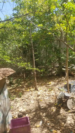 Third image of 2 Gordon Street, May Pen in May Pen, Clarendon, Jamaica - property is For Sale