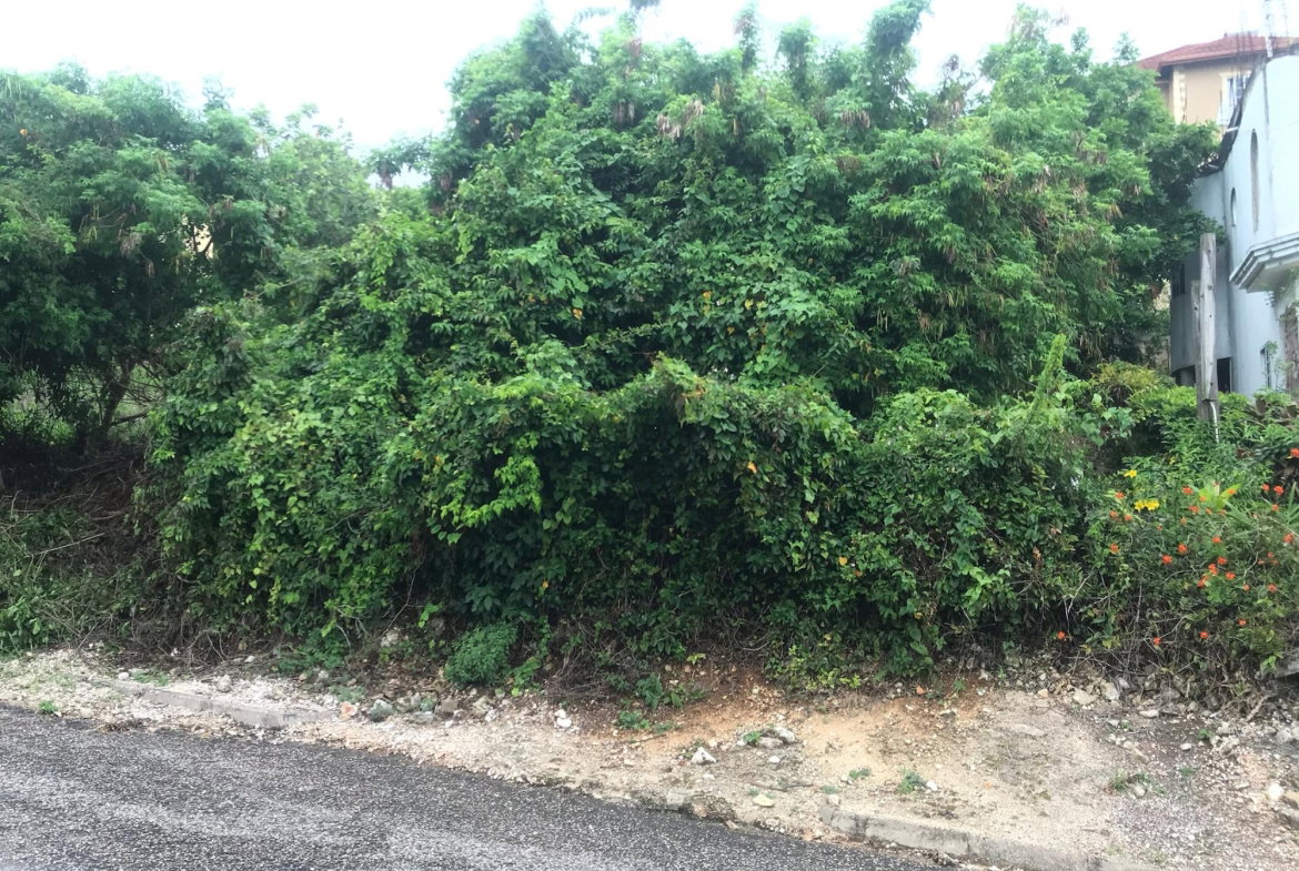 First image of Lot 115-patterson Boulevard, Melrose Mews in Williamsfield, Manchester, Jamaica - property is For Sale