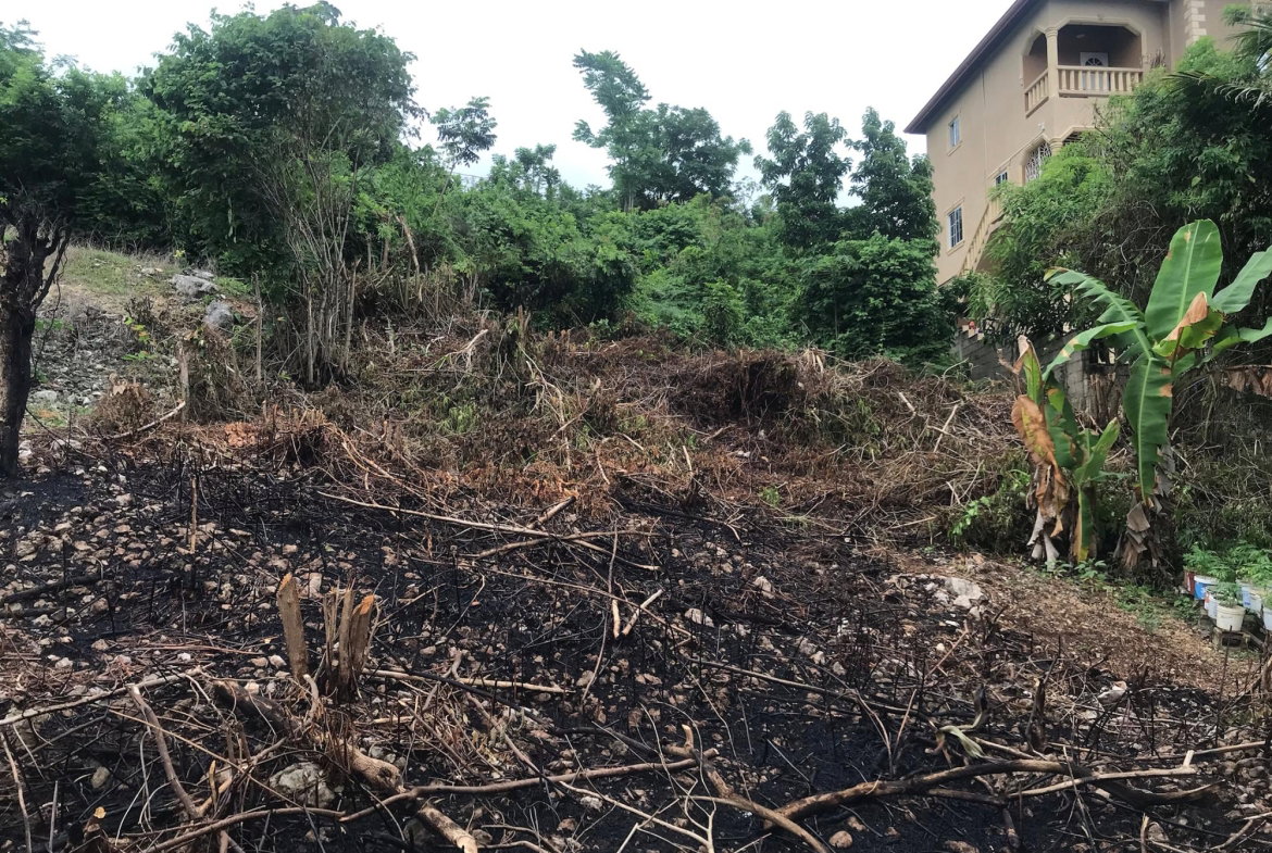 Third image of Lot 115-patterson Boulevard, Melrose Mews in Williamsfield, Manchester, Jamaica - property is For Sale