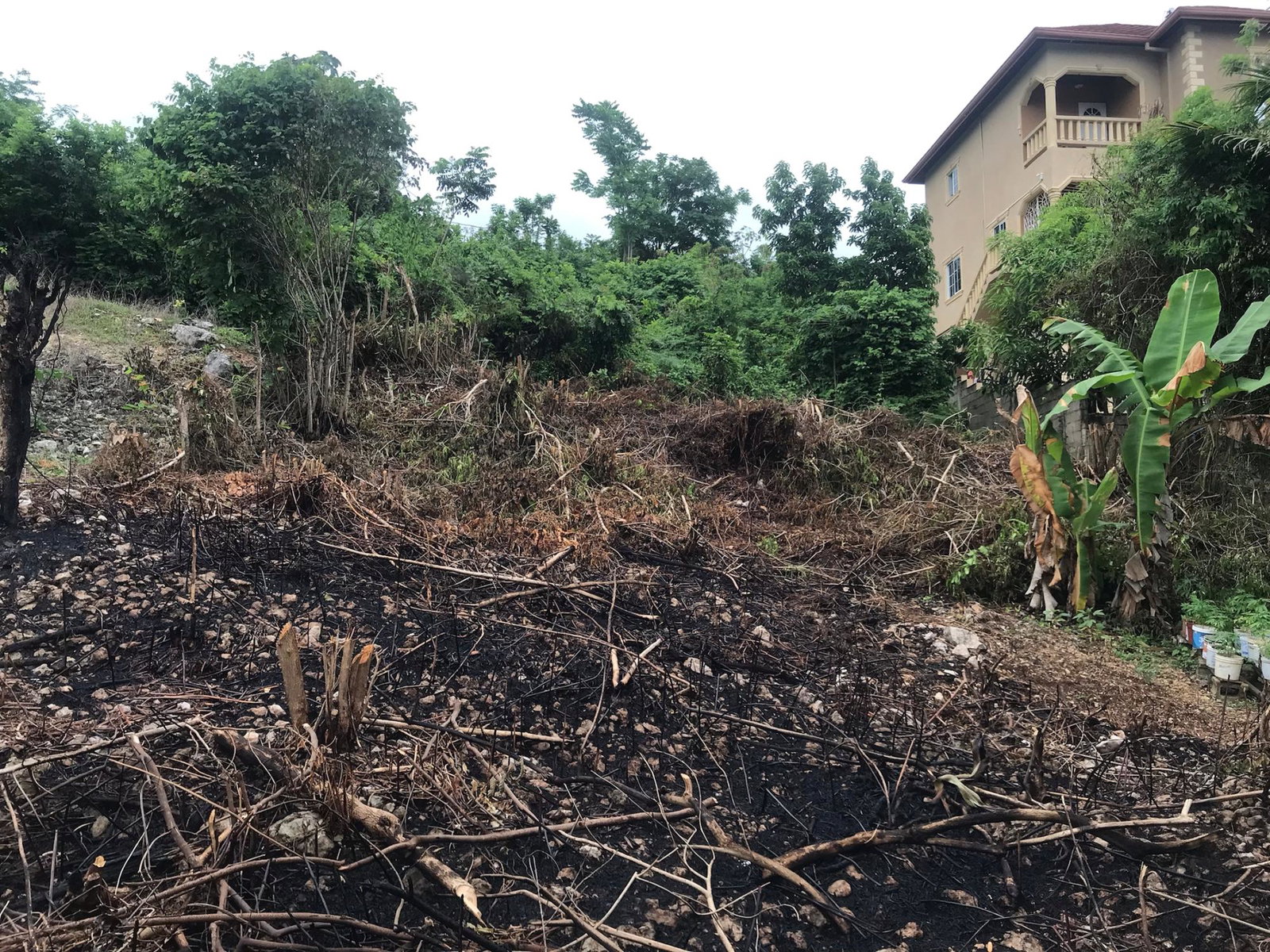 Third image of Lot 115-patterson Boulevard, Melrose Mews in Williamsfield, Manchester, Jamaica - property is For Sale