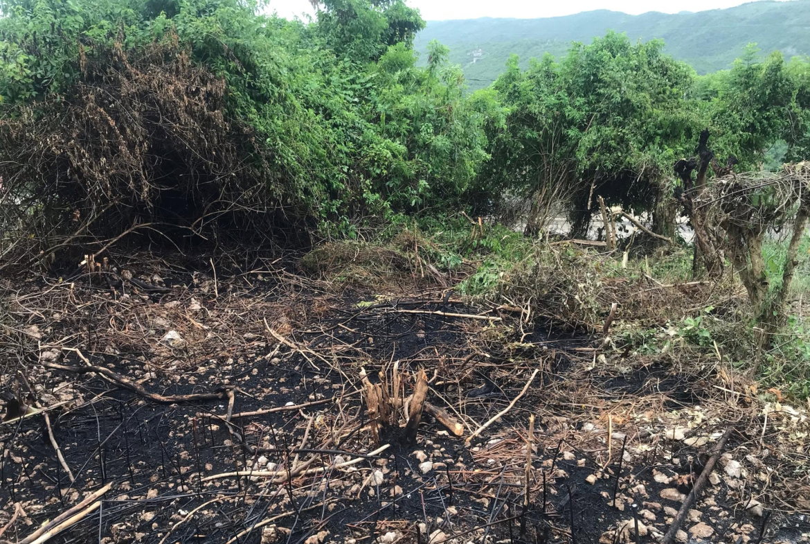 Fourth image of Lot 115-patterson Boulevard, Melrose Mews in Williamsfield, Manchester, Jamaica - property is For Sale
