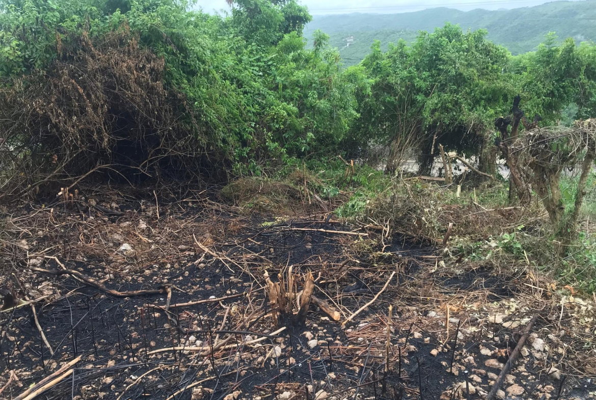 Fifth image of Lot 115-patterson Boulevard, Melrose Mews in Williamsfield, Manchester, Jamaica - property is For Sale