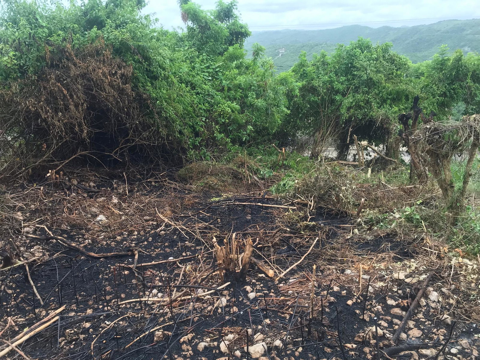 Fifth image of Lot 115-patterson Boulevard, Melrose Mews in Williamsfield, Manchester, Jamaica - property is For Sale