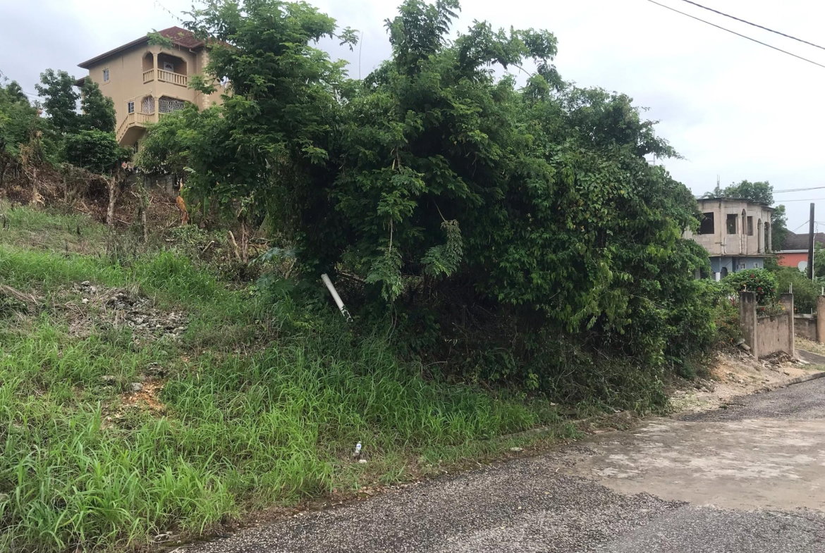 Sixth image of Lot 115-patterson Boulevard, Melrose Mews in Williamsfield, Manchester, Jamaica - property is For Sale