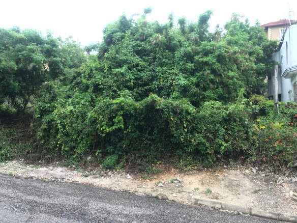 First image of Lot 115-patterson Boulevard, Melrose Mews in Williamsfield, Manchester, Jamaica - property is For Sale