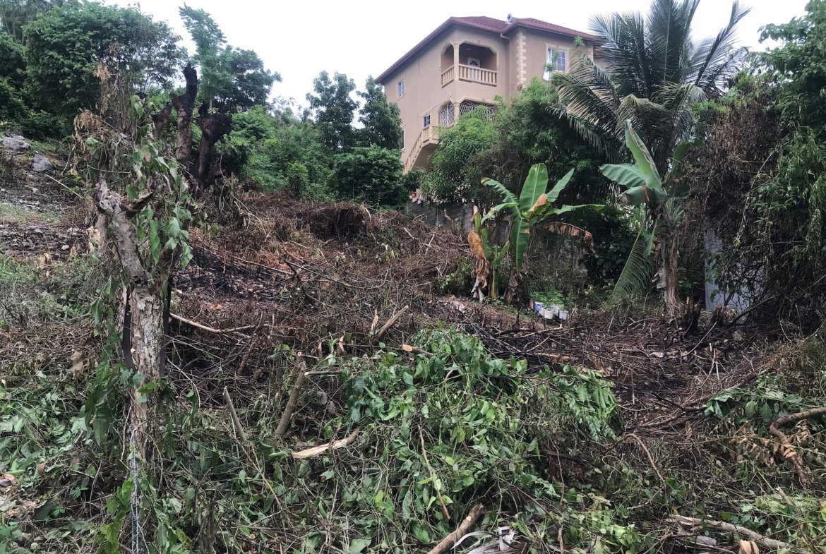 Seventh image of Lot 115-patterson Boulevard, Melrose Mews in Williamsfield, Manchester, Jamaica - property is For Sale