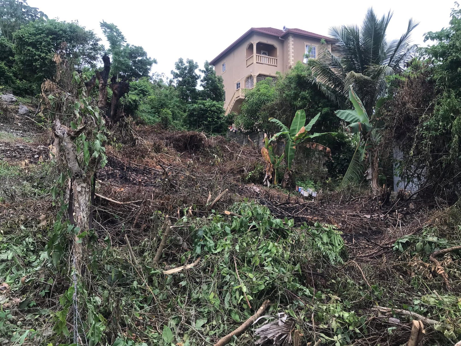 Seventh image of Lot 115-patterson Boulevard, Melrose Mews in Williamsfield, Manchester, Jamaica - property is For Sale