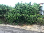 First image of Lot 115-patterson Boulevard, Melrose Mews in Williamsfield, Manchester, Jamaica - property is For Sale