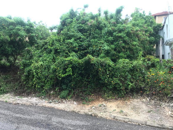 First image of Lot 115-patterson Boulevard, Melrose Mews in Williamsfield, Manchester, Jamaica - property is For Sale