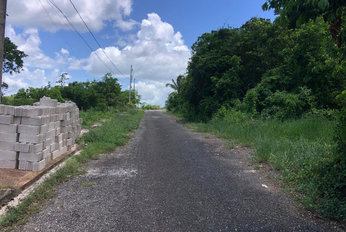 Seventh image of Lot 398 Minard Estate in Browns Town, St. Ann, Jamaica - property is For Sale