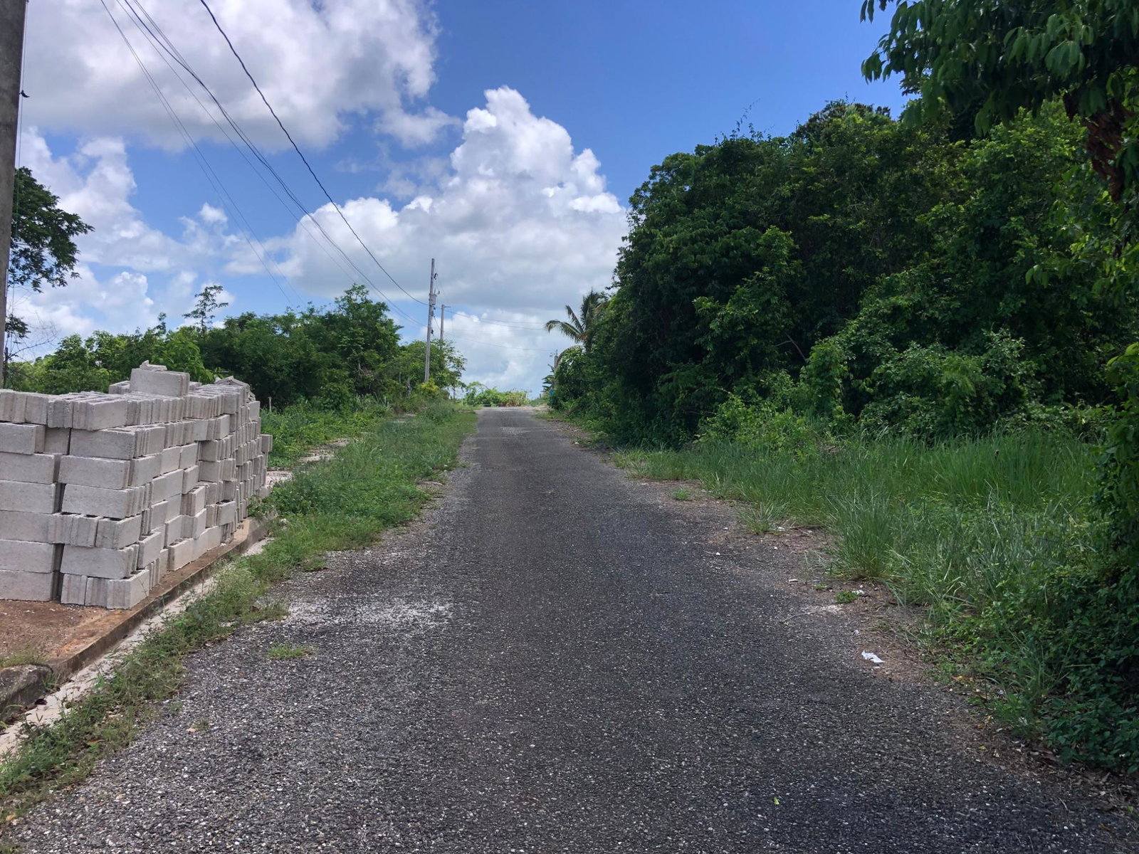 Seventh image of Lot 398 Minard Estate in Browns Town, St. Ann, Jamaica - property is For Sale
