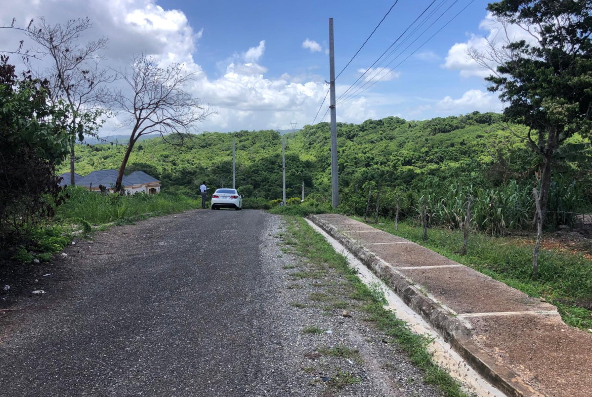 Eighth image of Lot 398 Minard Estate in Browns Town, St. Ann, Jamaica - property is For Sale