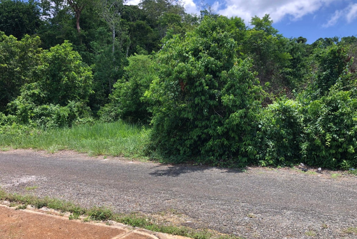Ninth image of Lot 398 Minard Estate in Browns Town, St. Ann, Jamaica - property is For Sale