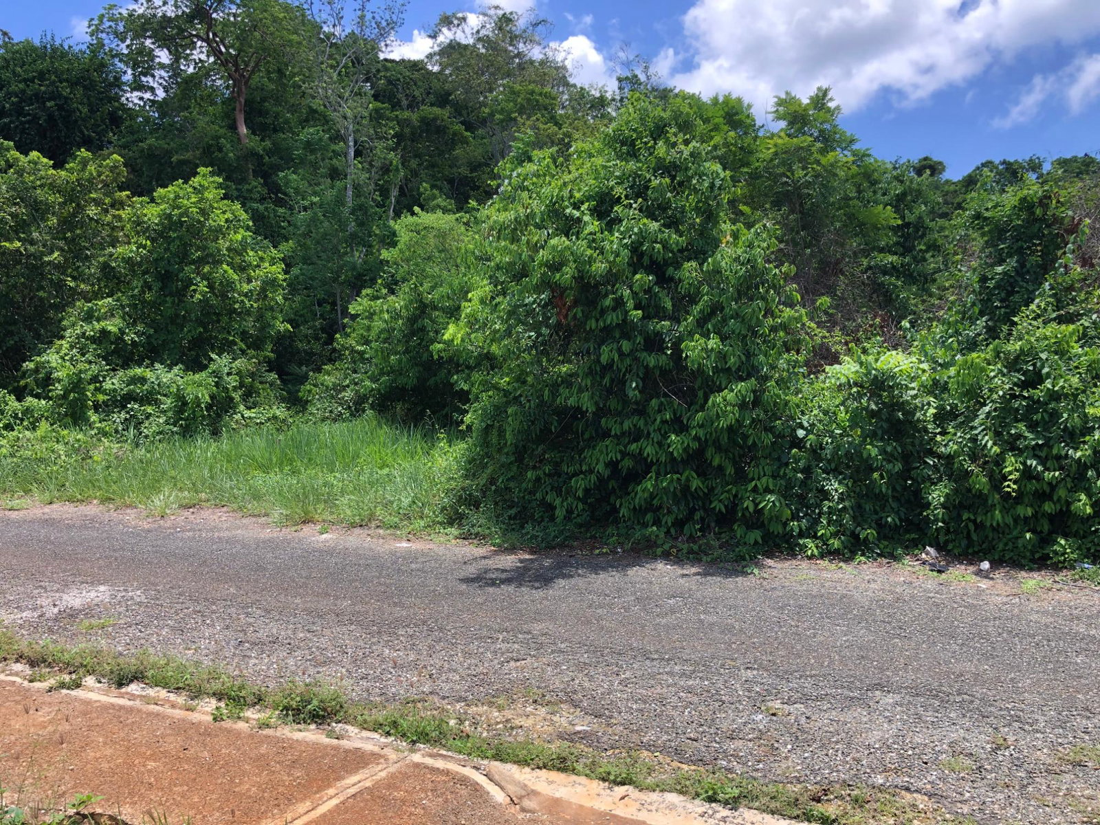 Ninth image of Lot 398 Minard Estate in Browns Town, St. Ann, Jamaica - property is For Sale