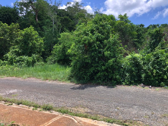 Ninth image of Lot 398 Minard Estate in Browns Town, St. Ann, Jamaica - property is For Sale