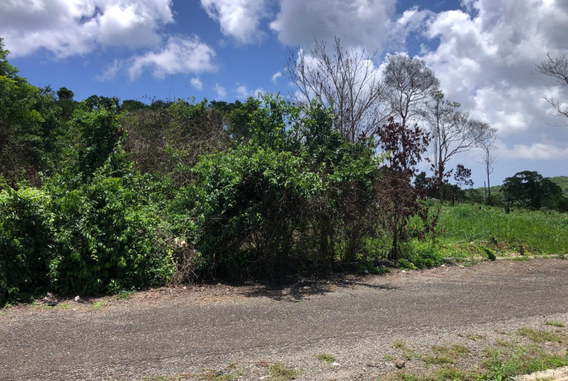 Tenth image of Lot 398 Minard Estate in Browns Town, St. Ann, Jamaica - property is For Sale
