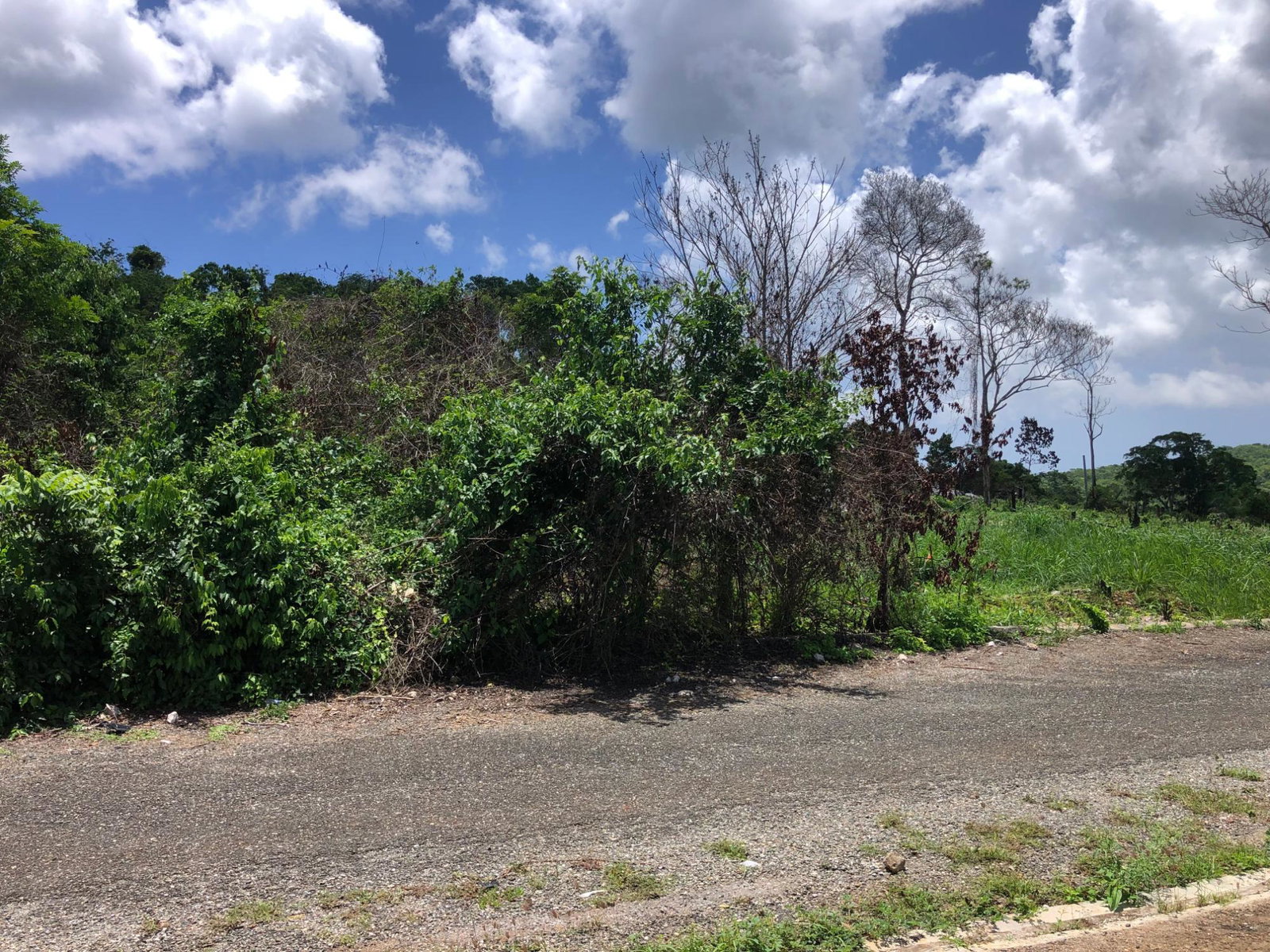 Tenth image of Lot 398 Minard Estate in Browns Town, St. Ann, Jamaica - property is For Sale