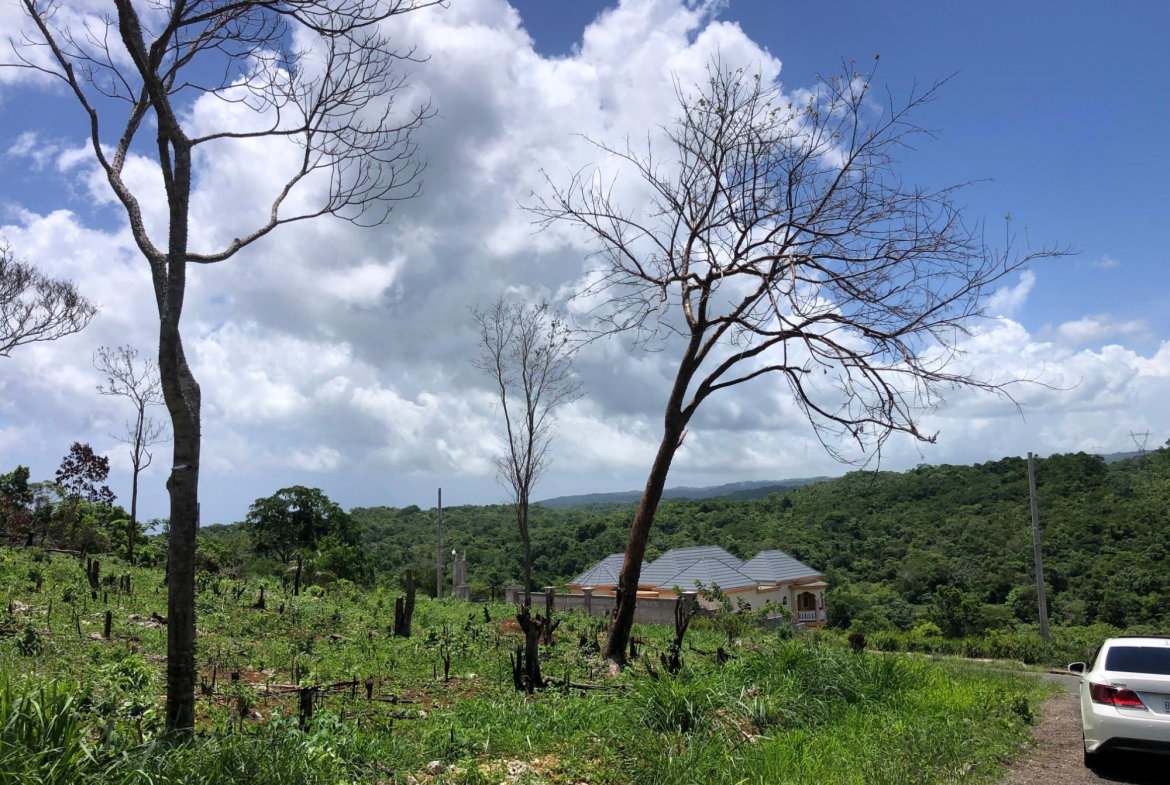Eleventh image of Lot 398 Minard Estate in Browns Town, St. Ann, Jamaica - property is For Sale