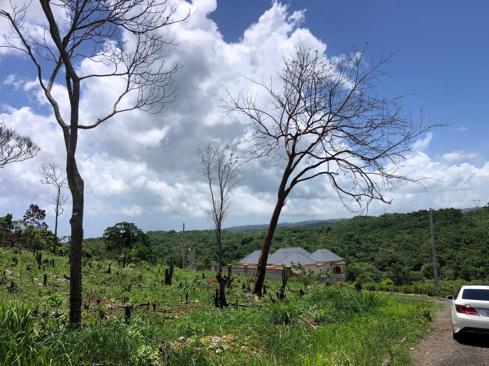 Eleventh image of Lot 398 Minard Estate in Browns Town, St. Ann, Jamaica - property is For Sale