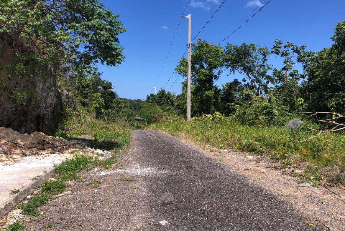 Fourth image of Lot 370 Minard Estate in Brittonville, St. Ann, Jamaica - property is For Sale