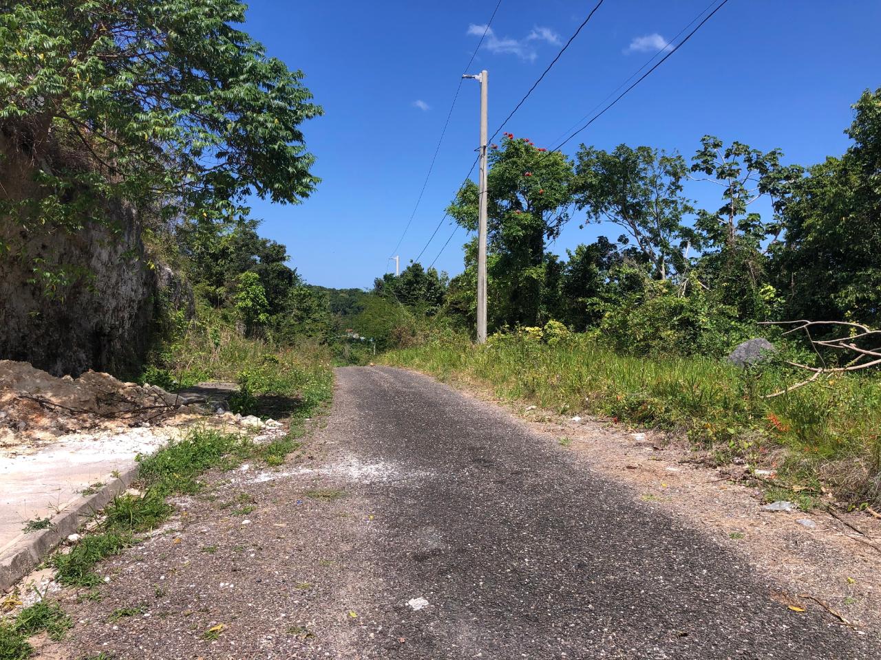 Fourth image of Lot 370 Minard Estate in Brittonville, St. Ann, Jamaica - property is For Sale